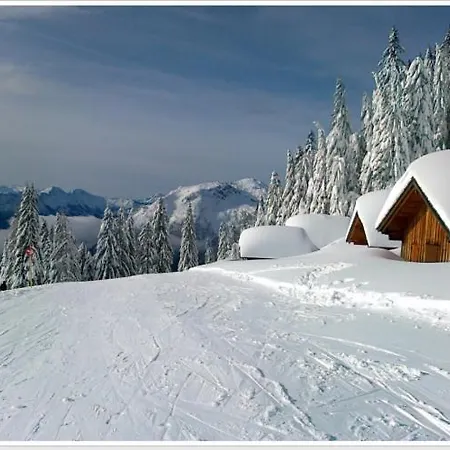 Haus Einhirn 奥尔陶斯