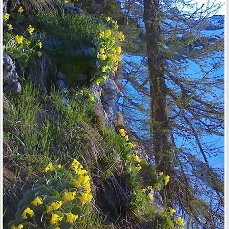 Apartment Haus Einhirn *