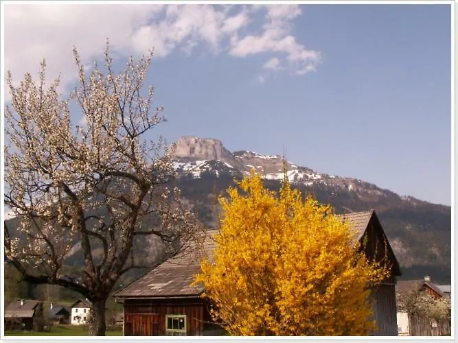 公寓 Haus Einhirn 奥尔陶斯