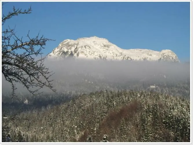 Haus Einhirn 아파트