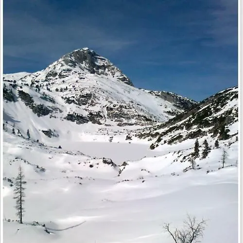 Haus Einhirn 奥尔陶斯