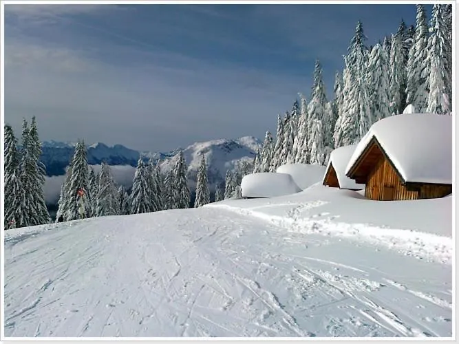 Haus Einhirn 奥尔陶斯