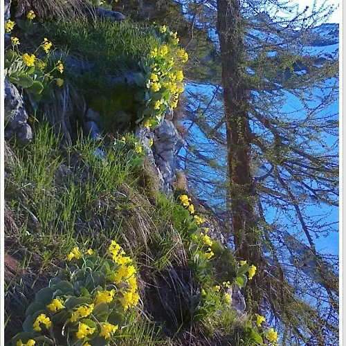 Appartement Haus Einhirn *